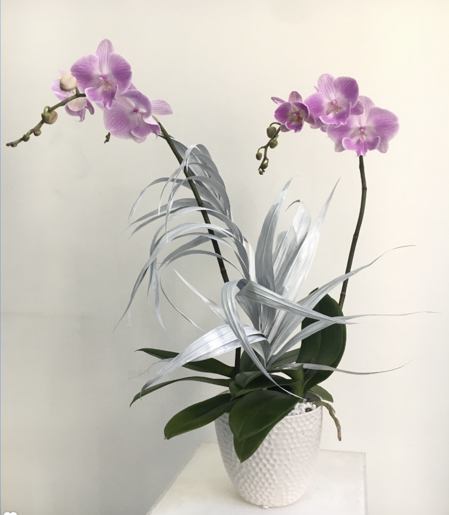 Two purple orchids in a glass vase from TAKAYASATO.COM's BOTANICAL line.