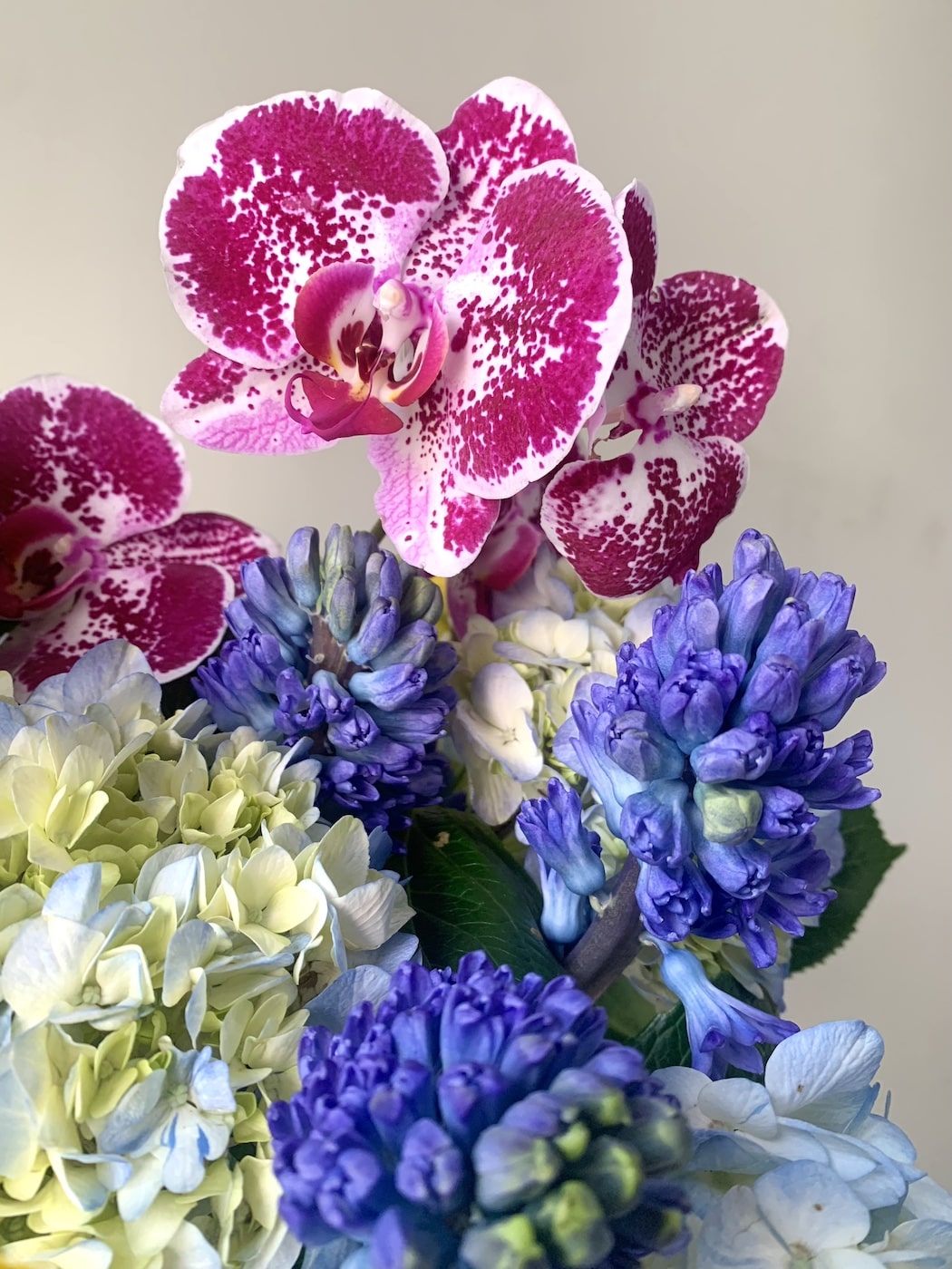 Floral bouquet with blue hydrangeas and pink orchids