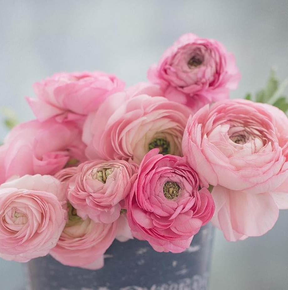 Surprise Your Mom With Handmade Flower Arrangement - DADDY & ME Flower Workshop