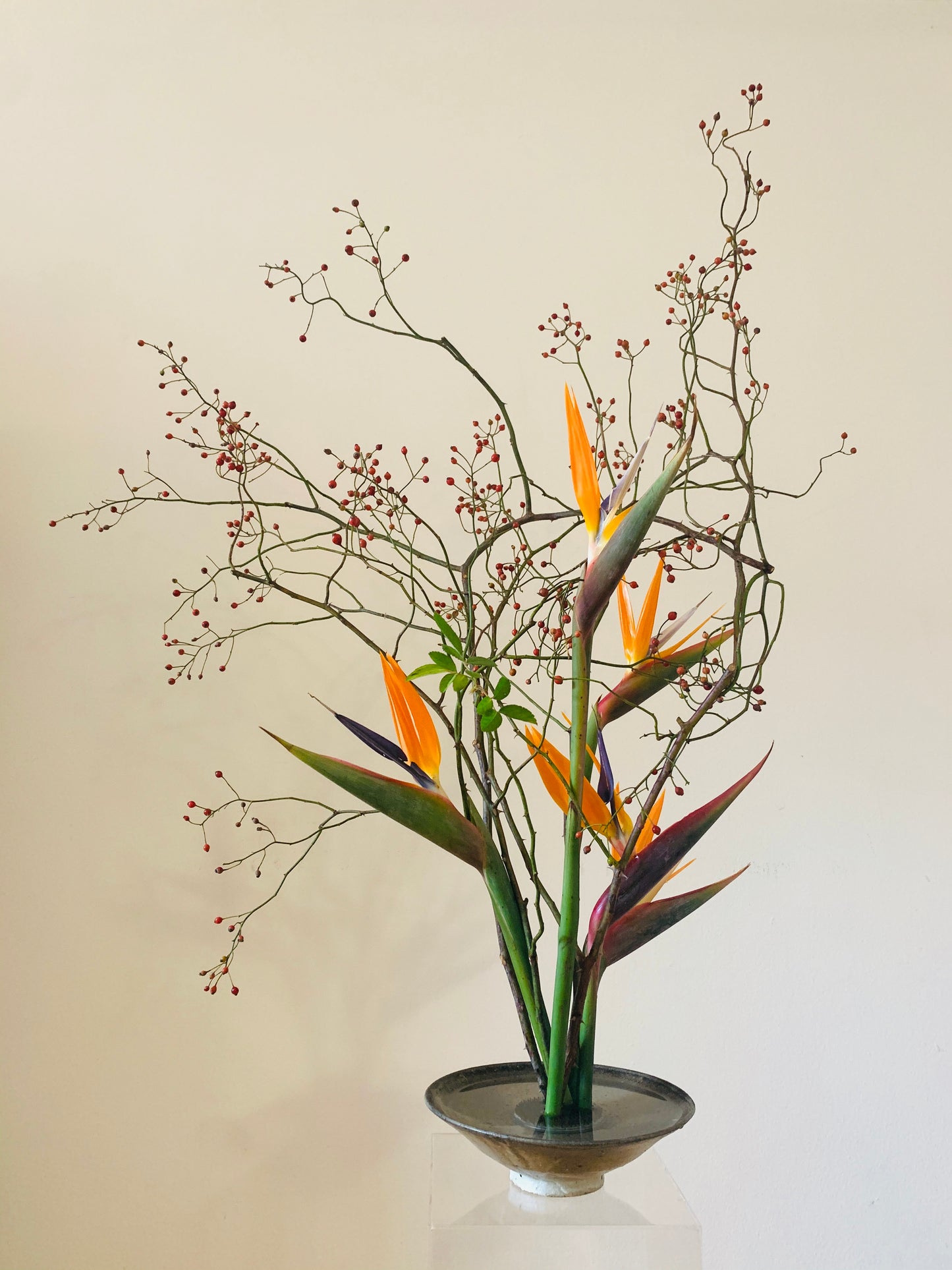 A black vase with an Ikebana Style Private Lesson floral arrangement by TAKAYASATO.COM in it.