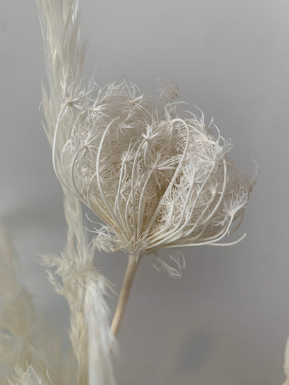 An ETERNAL Arrangement of a white flower in a vase by TAKAYASATO.COM.