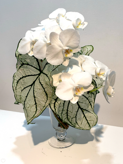 White MONOFLOWER orchids elegantly arranged in a vase on a table exudes modern sophistication from TAKAYASATO.COM.