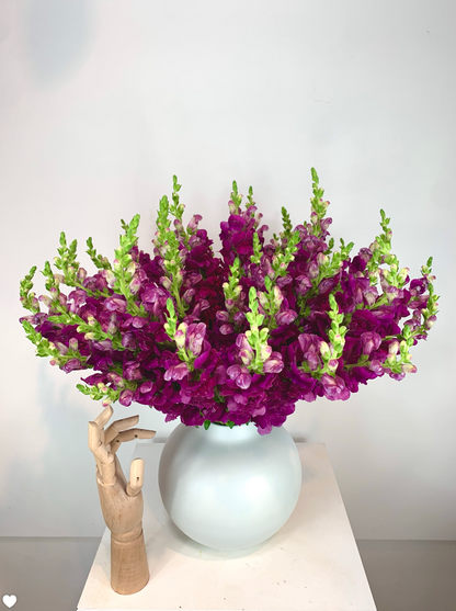 A TAKAYASATO.COM monoflower arrangement of purple and green flowers in a vase exudes elegant presence.
