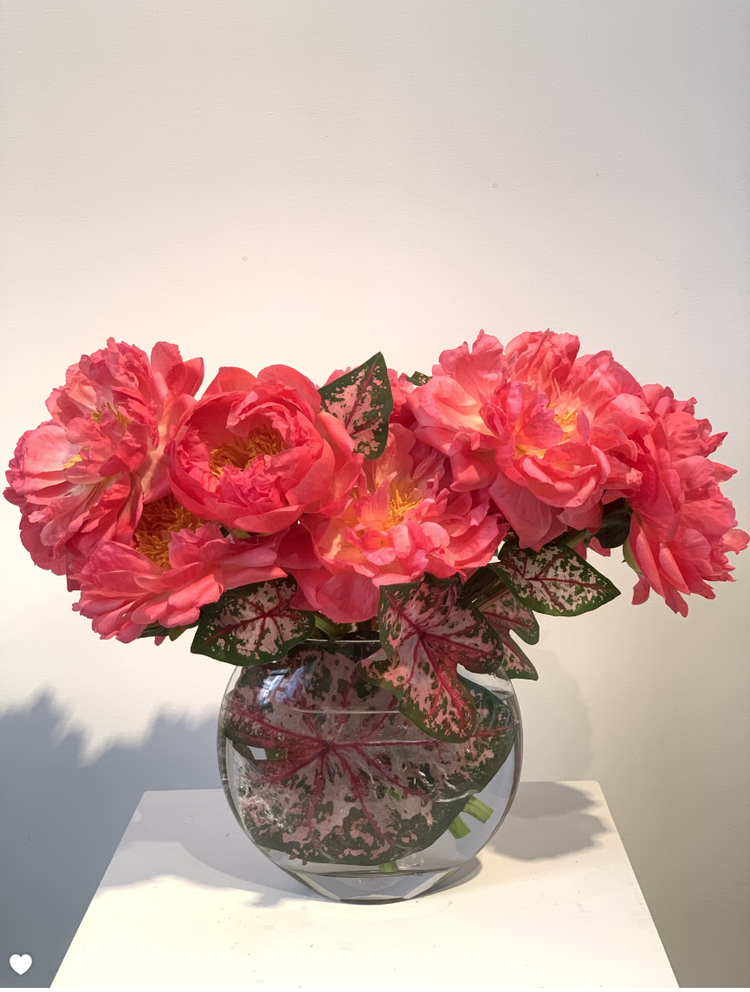 Pink MONOFLOWER peonies in a glass vase from TAKAYASATO.COM create an elegant presence on a table.