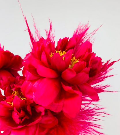 MONOFLOWER peonies in a vase on a white background exude elegant presence from TAKAYASATO.COM.