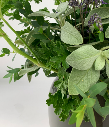 A vase filled with WHITE, GREEN & HERBS from TAKAYASATO.COM.