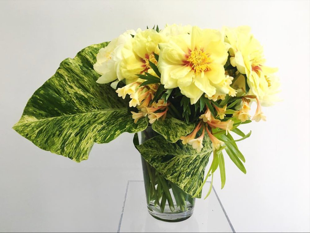 A stunning arrangement of yellow dahlias in a clear vase on a stand by Takayasato.com.