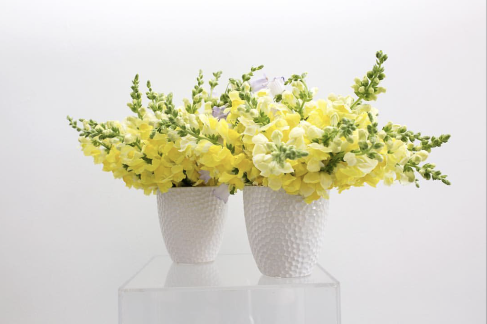 Two elegant white MONOFLOWER vases holding yellow flowers in a modern sophistication arrangement by TAKAYASATO.COM.