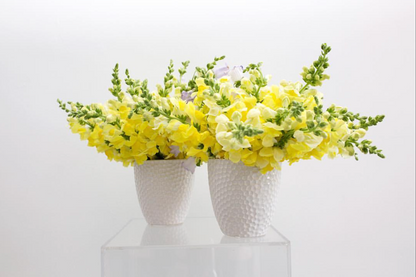 Two elegant white MONOFLOWER vases holding yellow flowers in a modern sophistication arrangement by TAKAYASATO.COM.