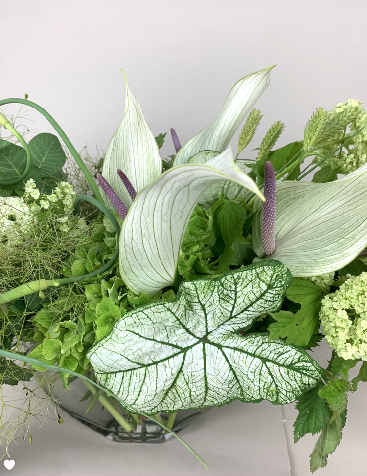 A WHITE,GREEN & HERBS arrangement in a glass vase from TAKAYASATO.COM.