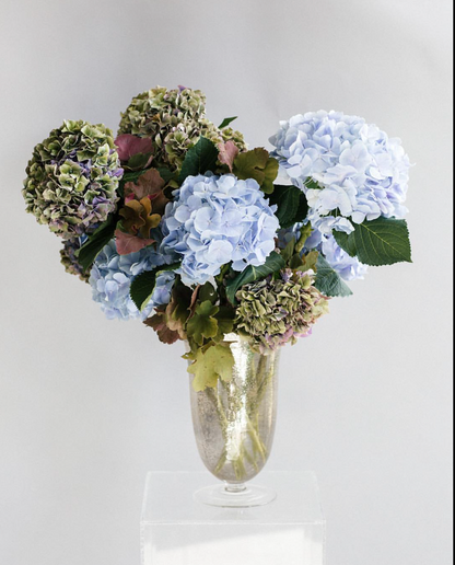 MONOFLOWER hydrangeas sit elegantly in a glass vase, exuding modern sophistication. Designed by TAKAYASATO.COM.