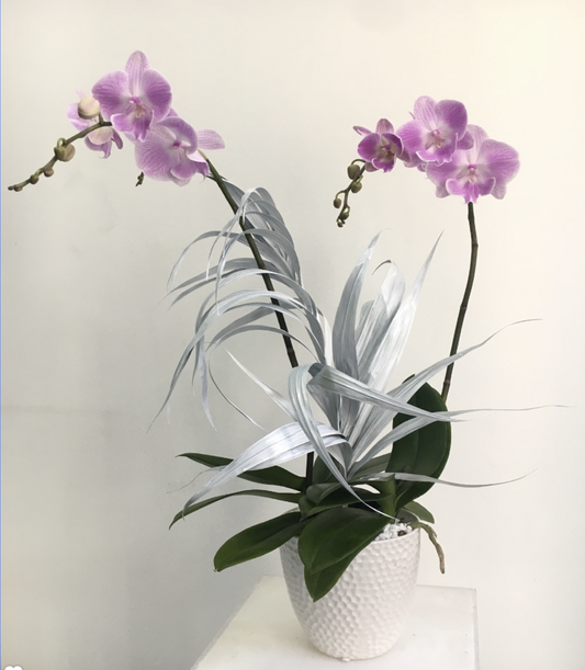 Two purple orchids in a glass vase from TAKAYASATO.COM's BOTANICAL line.