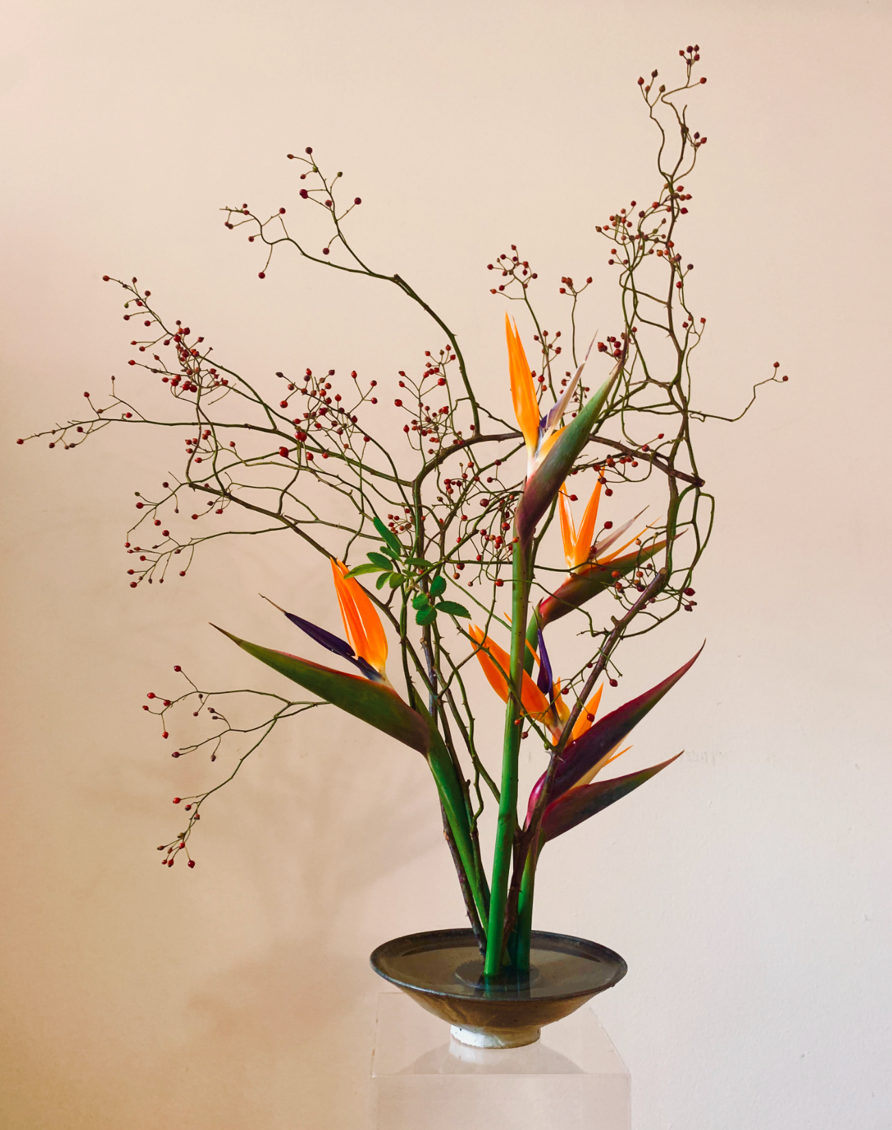 A vase with a beautiful arrangement of ECCENTRIC flowers by TAKAYASATO.COM.