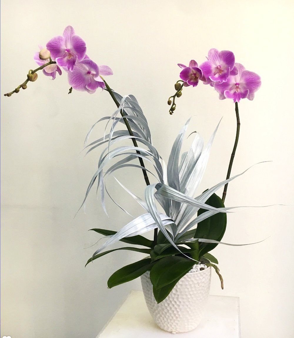 A floral arrangement of two purple orchids in a white vase by TAKAYASATO.COM's ECCENTRIC.