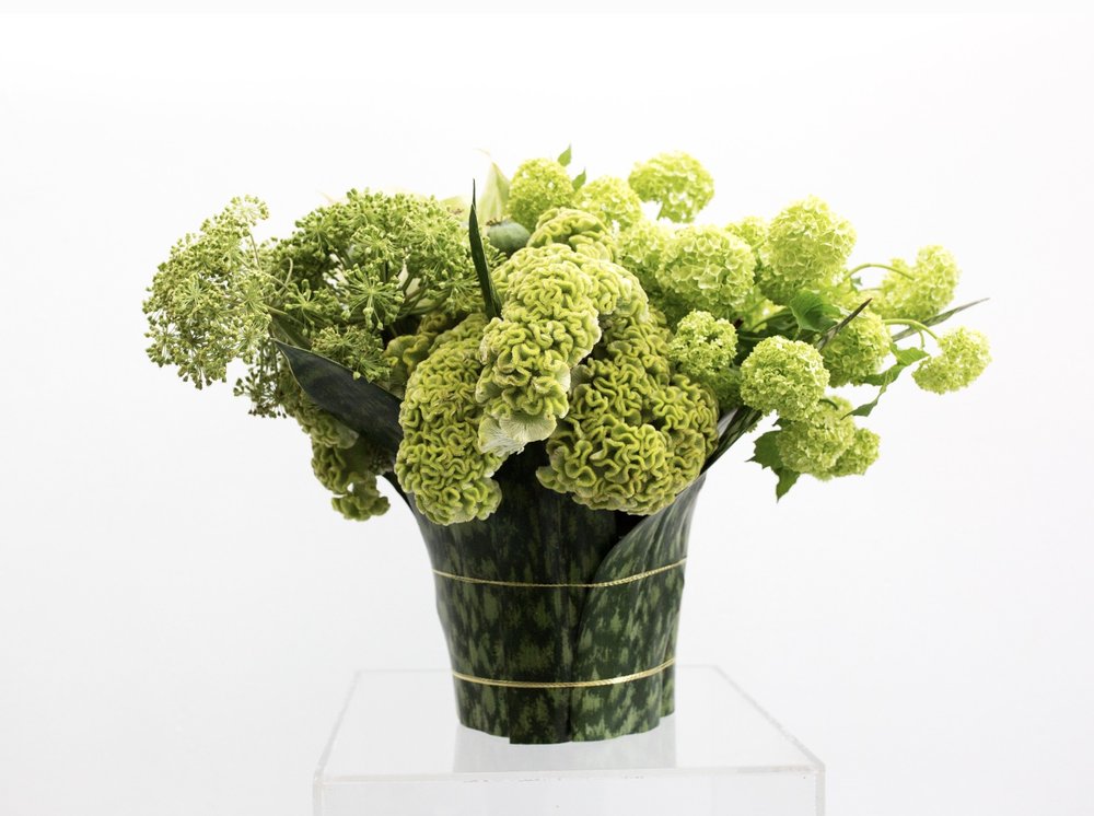 An arrangement of ECCENTRIC green flowers in a clear vase showcasing botanicals by TAKAYASATO.COM.