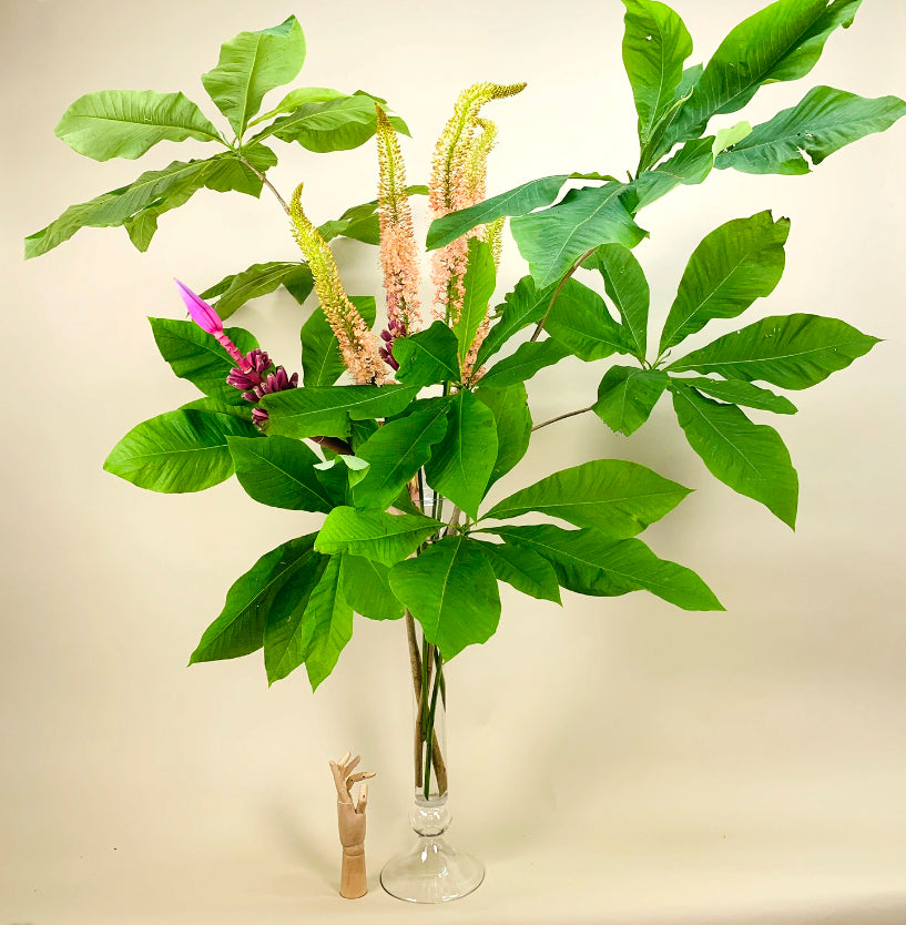 A ECCENTRIC botanical arrangement in a vase from TAKAYASATO.COM.