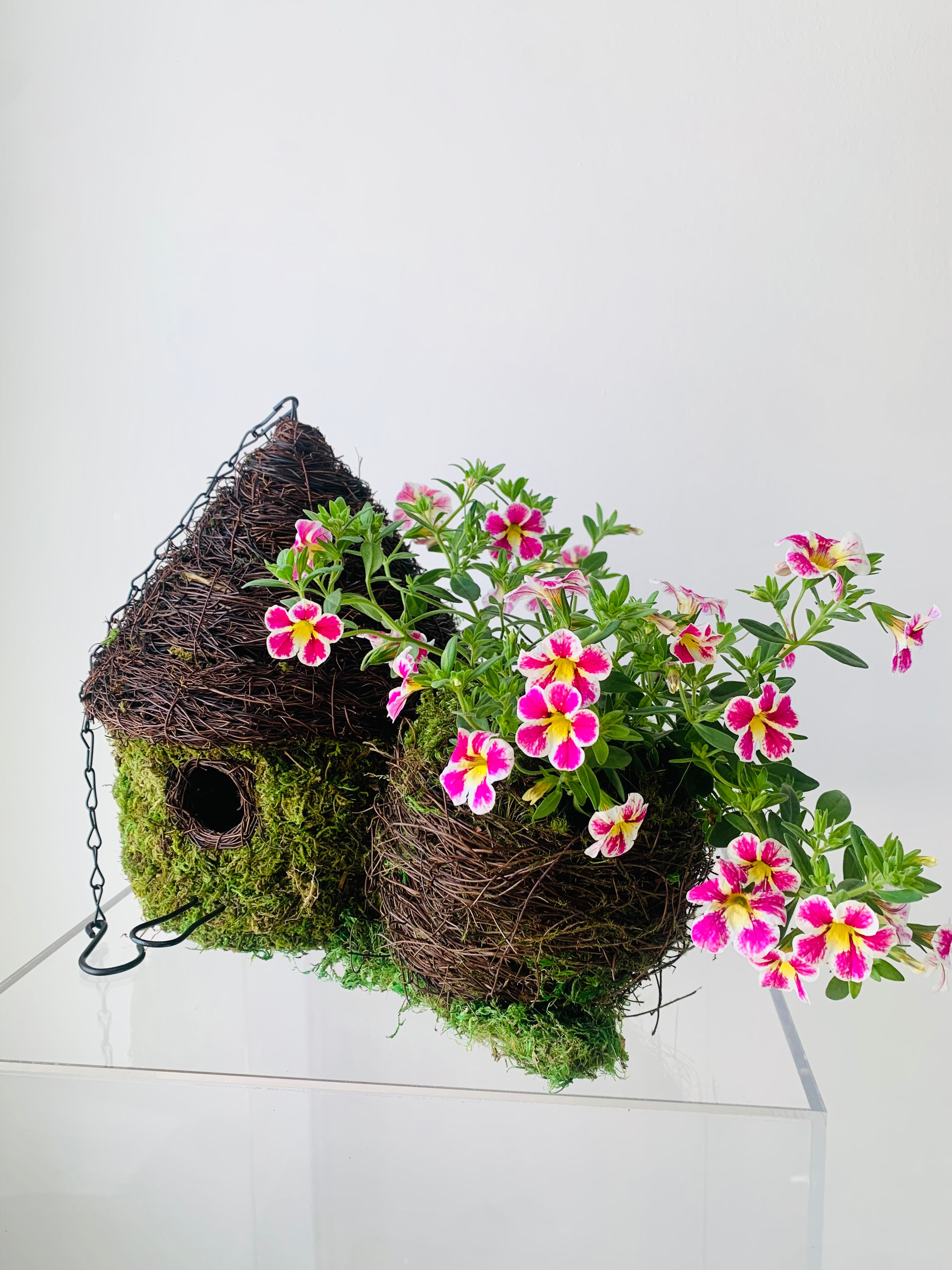 A beautiful woven bird house with an attached potted flower arrangement by Takaya Sato 