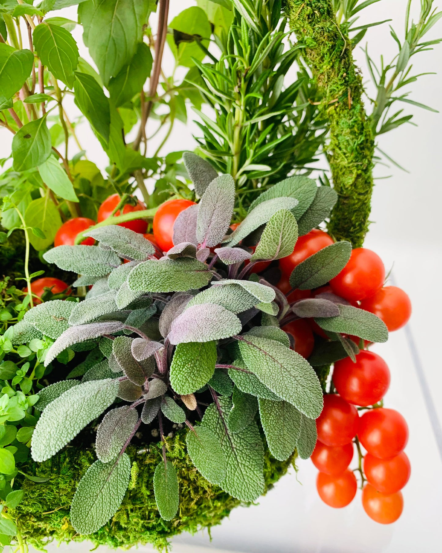 A close up detail of the botanical herb arrangement, featuring vines of cherry tomatoes, rosemary, sage, thyme, purple basil and lemon mint.