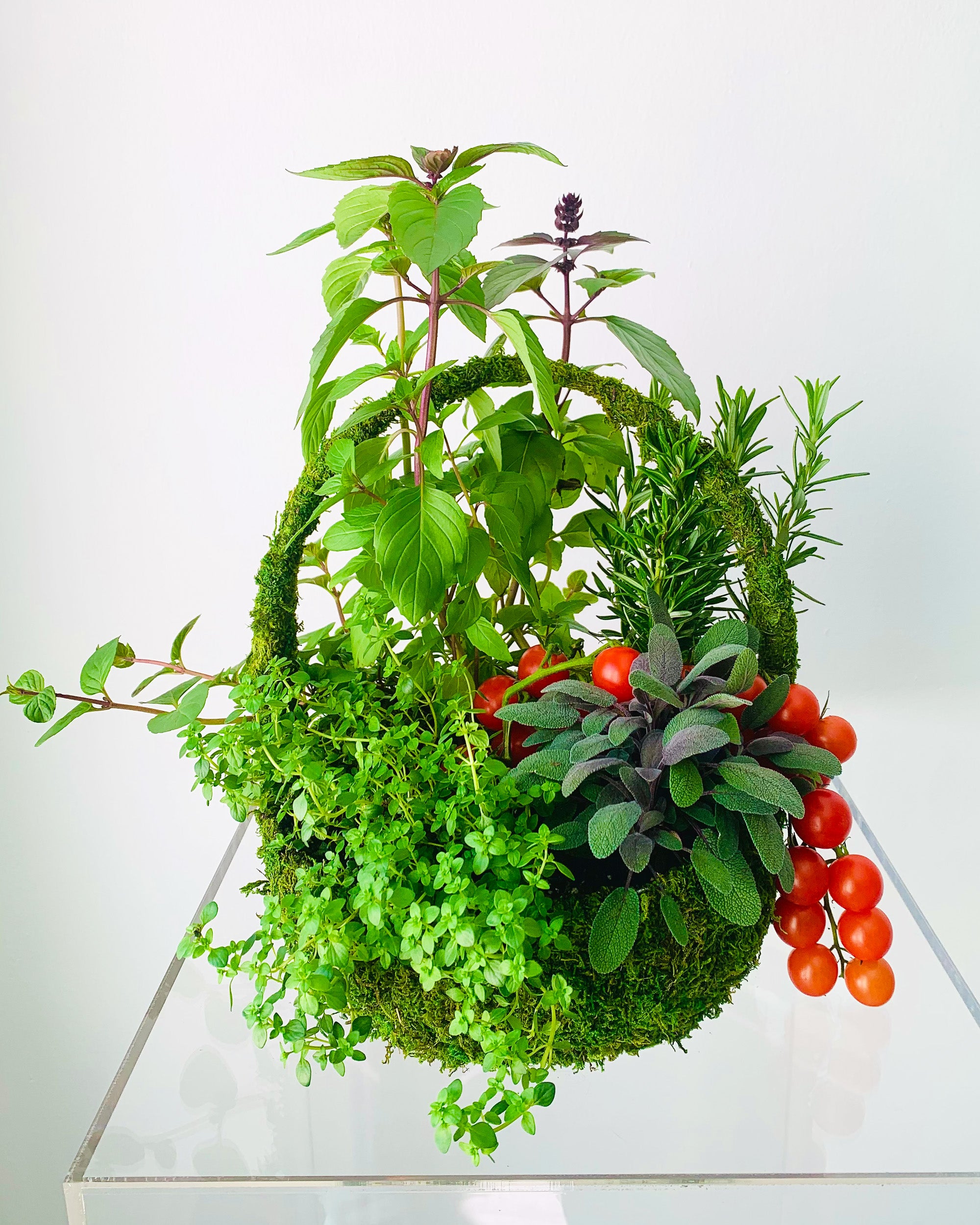 A moss basket of potted herbs 
