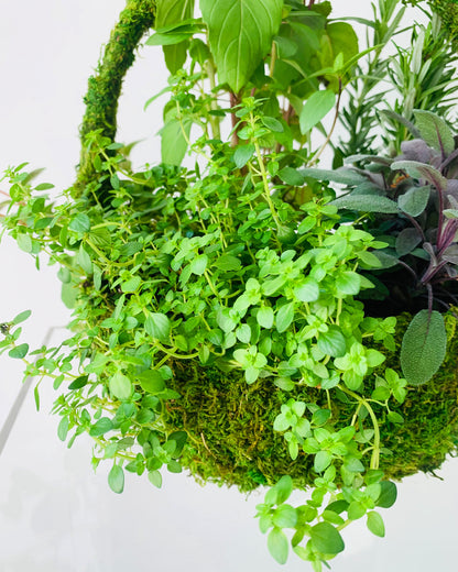 A close-up detail shot of the potted herb garden by Takaya Sato.