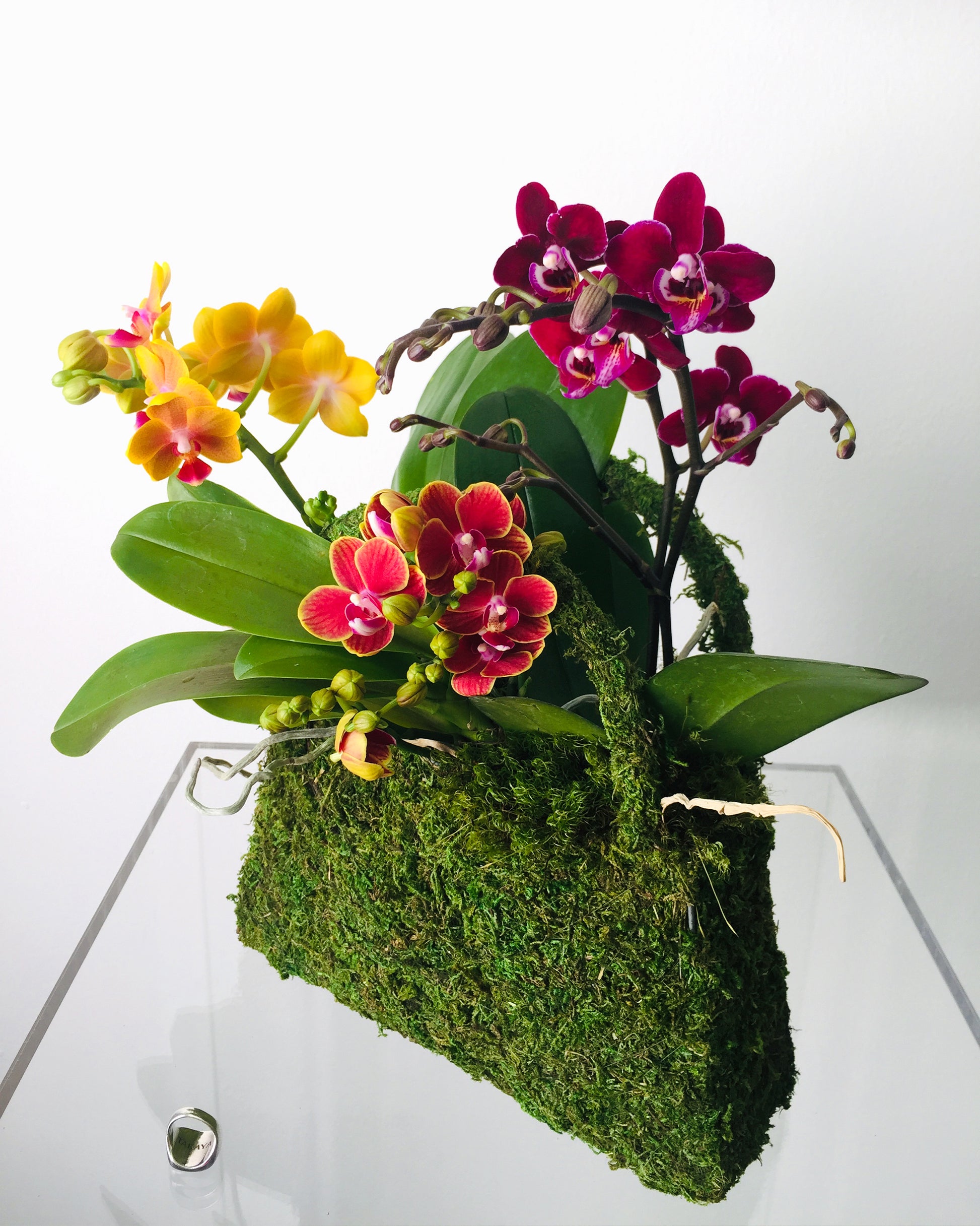 Moss shaped into a purse with botanical leaves and orchids inside.