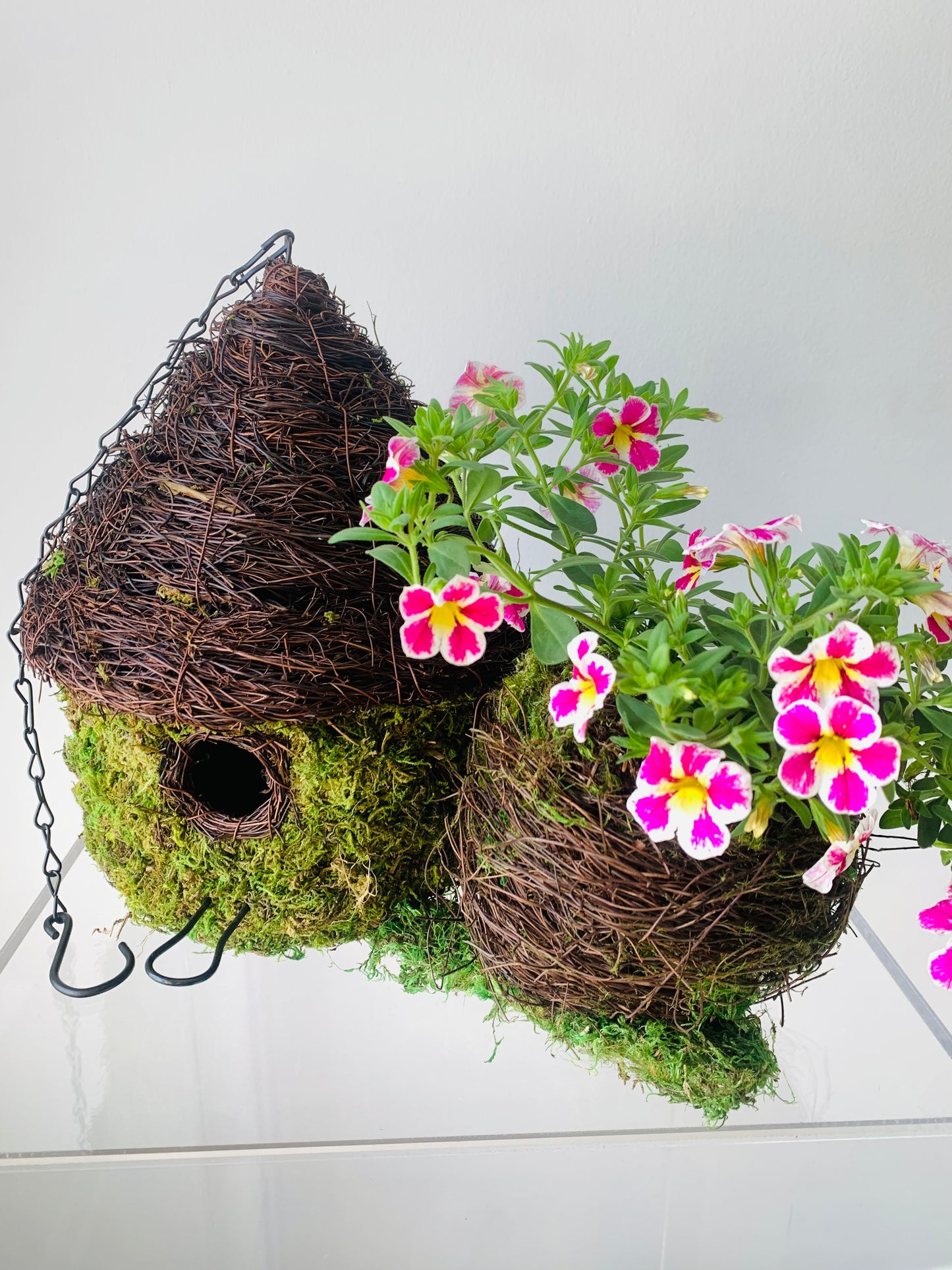 A unique flower arrangement with a moss bird house makes the perfect gift.