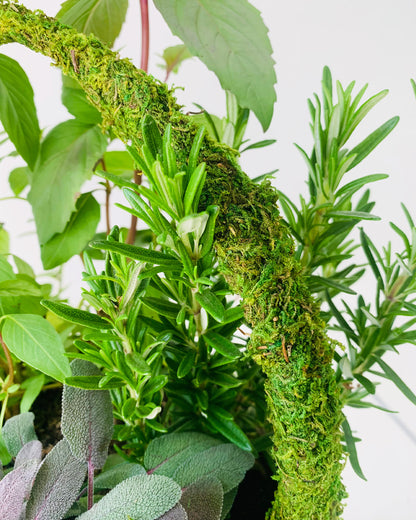 A unique gift for mom by Takaya Sato floral decor: a live herb garden potted in a moss basket, available for delivery.