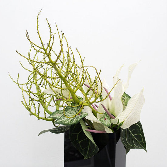 A black vase with white flowers and green leaves.