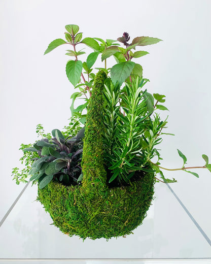 A side view of Takaya Sato's herb garden botanical arrangement