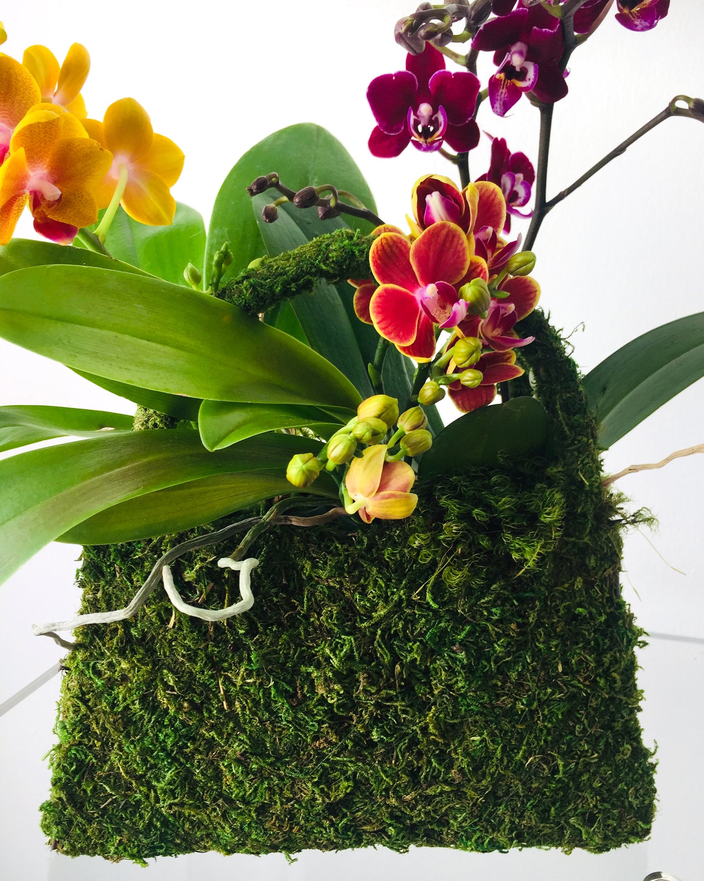 Bright green moss and fresh leaves arranged inside of a purse shaped pochette.