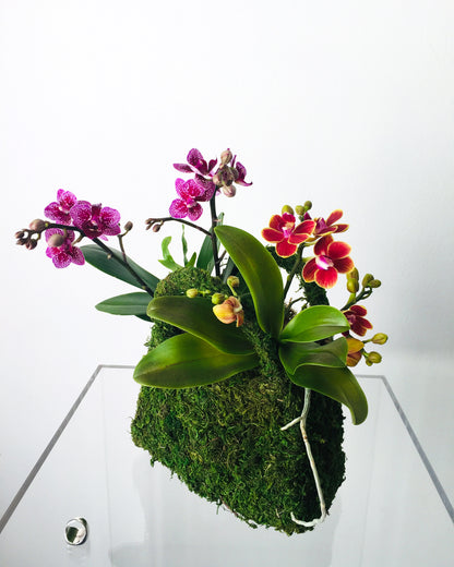 A unique botanical floral arrangement that is the shape and size of a small handbag.