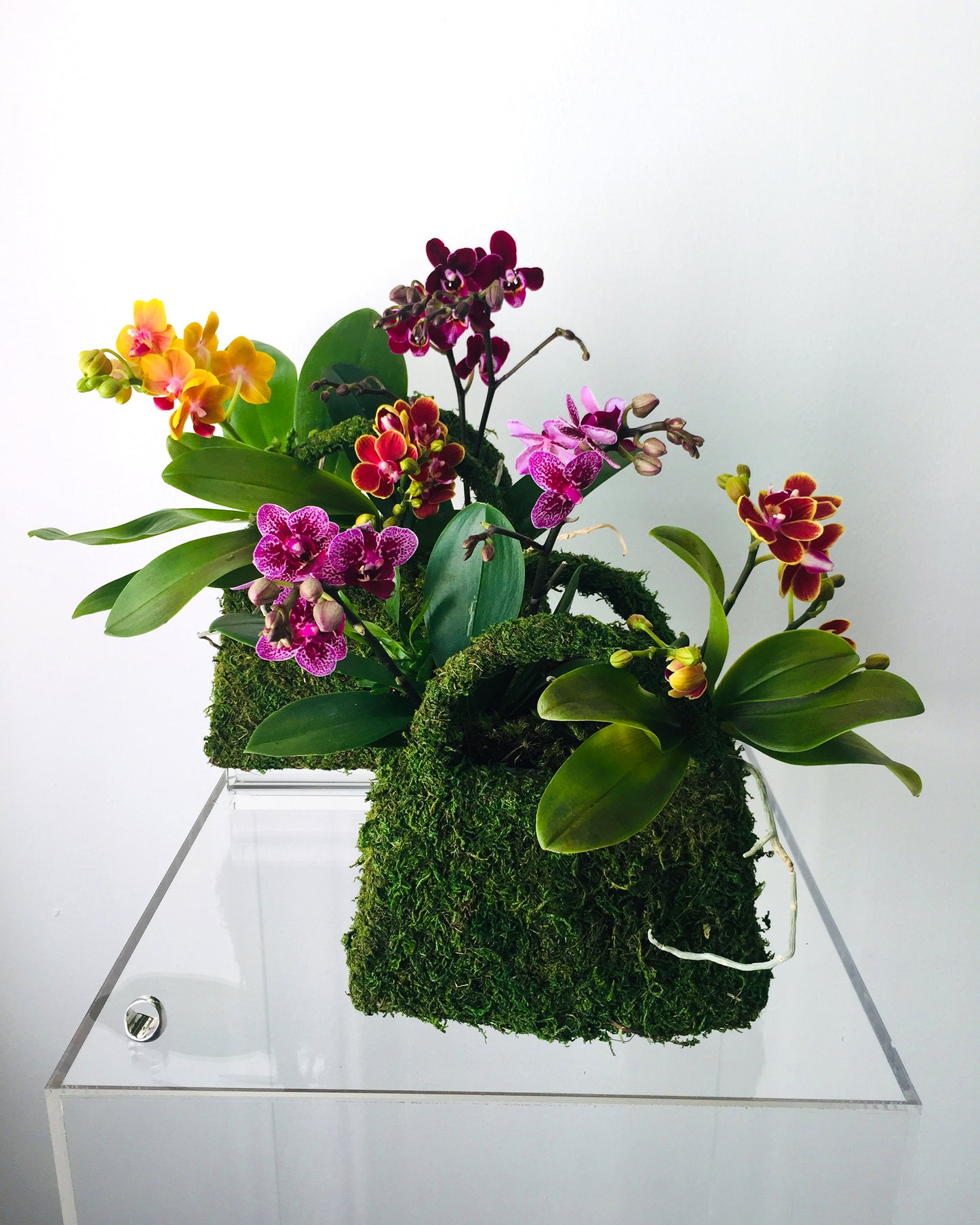 Two examples of sizing options for the new Botanical Jewel Tone Pochette arrangement.