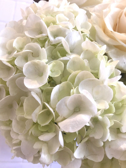 A Charleston flower arrangement featuring white roses, white hydrangeas and magnolia flowers.